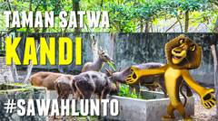Taman Satwa Kandi - Sawahlunto #SUMBAR
