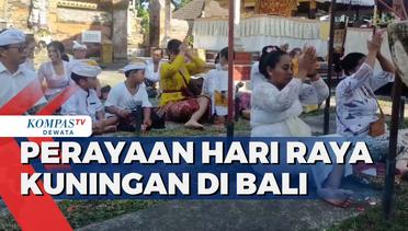 Perayaan Hari Raya Kuningan Di Bali