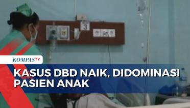 Kasus DBD di Karangasem Bali Meningkat Selama 3 Bulan Terakhir!