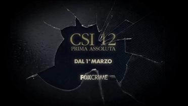 Fox Crime - CSI 12