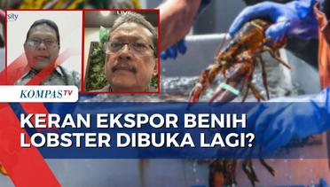 Alasan Menteri KKP Sakti Wahyu Trenggono Buka Lagi Opsi Ekspor Benih Lobster