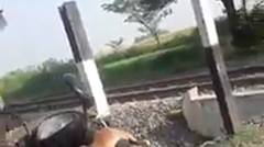 Video Viral 2 Relawan Penjaga Perlintasan Kereta Tendang Pemotor yang Nekat Menerobos