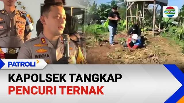 Kapolsek Tangkap Pencuri Ternak | Patroli