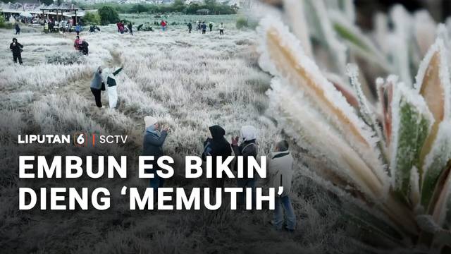 Embun Es "Putihkan" Dieng | Liputan 6
