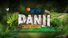 Panji Petualang 911 - 14 Agustus 2025