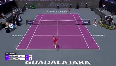 Karolina Pliskova vs Ena Shibahara - Highlights | WTA Guadalajara Open Akron 2023