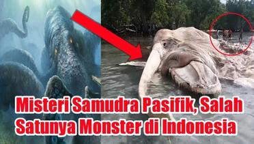 Misteri Samudra Pasifik, Salah Satunya Monster di Indonesia
