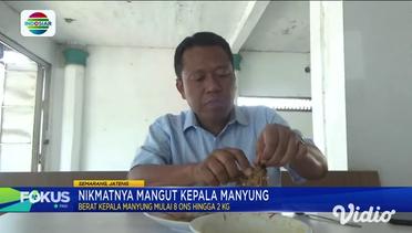 Nikmatnya Menu Mangut Kepala Manyung Kuliner Cita Rasa Pedas Khas Semarang