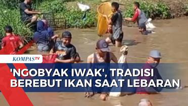 Mengenal 'Ngobyak Iwak' dari Yogyakarta, Tradisi Berebut Ikan di Sungai Karang Nongko saat Lebaran