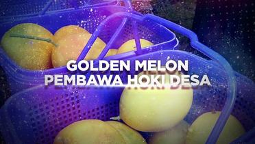 BERANI BERUBAH: Golden Melon Pembawa Hoki Desa