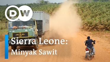DW Going Green - Sierra Leone: Minyak Sawit