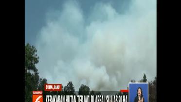 Kebakaran Hutan di Riau Meluas, Petugas Padamkan Api Lewat Jalur Darat - Liputan 6 Siang
