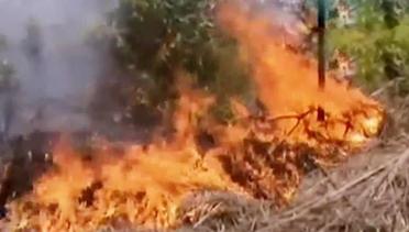 Segmen 2: Kebakaran Hutan di Lahat hingga Wakil Ketua DPRD Sidoarjo Ditahan