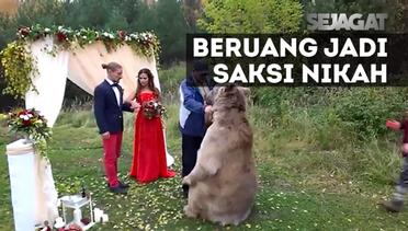 SEJAGAT: Beruang di Rusia Jadi Saksi Pernikahan