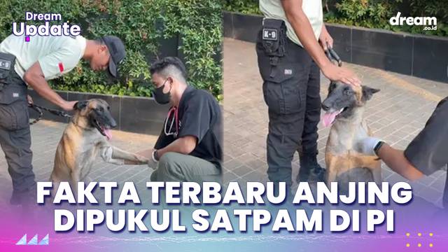 Fakta Terbaru Anjing Malang yang Dipukul Sekuriti di Plaza Indonesia