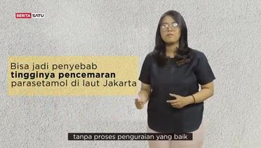 Quick Insight: Parasetamol di Teluk Jakarta