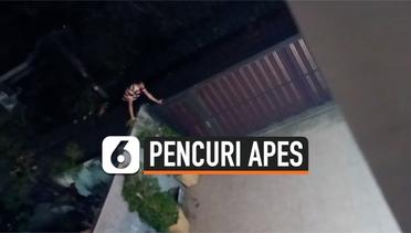 Apes, Pencuri Terjatuh saat Panjat Pagar Rumah