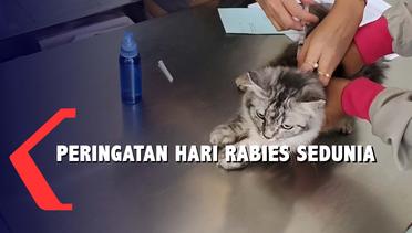 Ratusan Kucing di Malang Divaksin Rabies