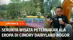 Serunya Jalan-Jalan ke Wisata Peternakan Ala Eropa di Cimory Dairyland Puncak Bogor | Liputan 6