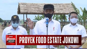Tetap Kerja ditengah Covid dan Demo, Jokowi Pantau Food Estate di Kalimantan Tengah