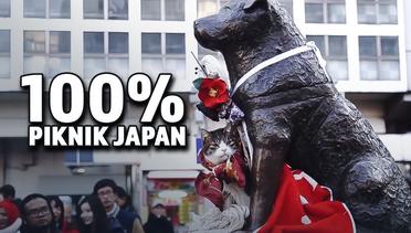 100%PIKNIK (JAPAN) Imperial Palace-Shinjuku-Shibuya
