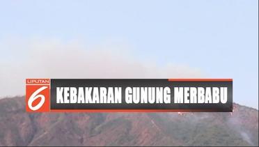 Gunung Merbabu Kebakaran, Petugas Imbau Pendaki untuk Turun - Liputan 6 Siang