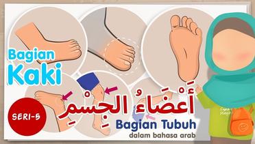 Belajar nama bagian tubuh dalam bahasa arab - seri 5 (bagian kaki)