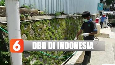 Kementerian Kesehatan Catat Ada 6 Ribu Kasus DBD di Indonesia