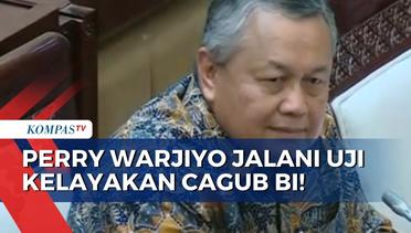 Jadi Calon Tunggal Gubernur Bank Indonesia, Perry Warjiyo Jalani Tes Uji Kelayakan di Komisi XI DPR!