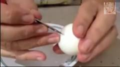 Cara Membuat Hiasan Makanan Dari Telur Rebus (Garnish)