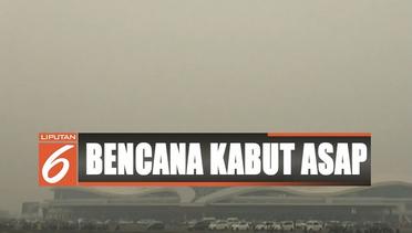 Penerbangan Terganggu Akibat Kabut Asap Kalimantan dan Sumatra - Liputan 6 Siang