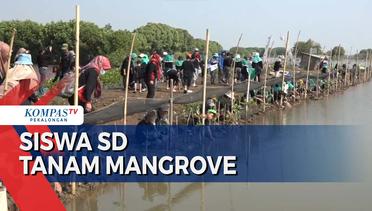 65 Siswa SD Isriati Baiturrahman 1 Semarang Tanam 100 Bibit Mangrove di Pantai Mangunharjo