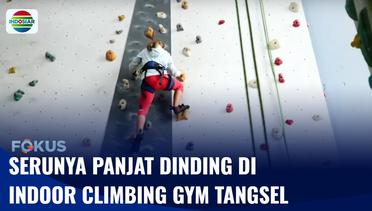 Serunya Panjat Dinding di Indoor Climbing Gym, Ada Wahana Ekstrem Memacu Adrenalin | Fokus