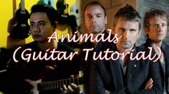Tutorial Muse - Animals (Adicipta Guitar Tutorial)