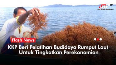Tingkatkan Ekspor, KKP Kembangkan SDM Pembudidaya Rumput Laut | Flash News