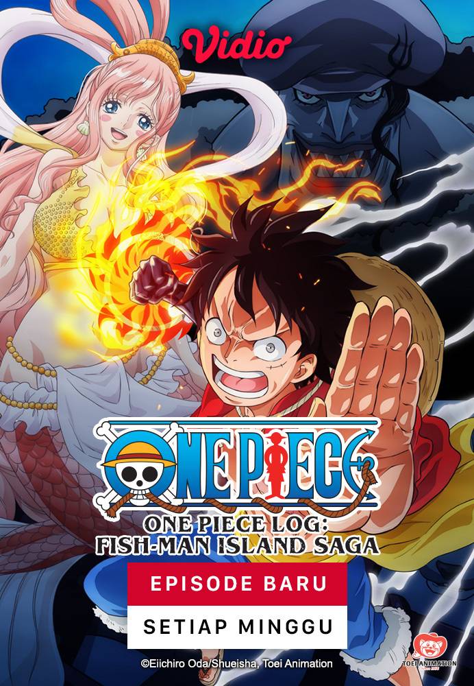 Nonton One Piece 1999 2024 Sub Indo Full Episode Vidio