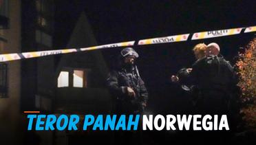 Serangan Panah Maut di Norwegia, Setidaknya 5 Tewas