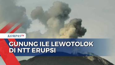 Gunung Ile Lewotolok di Lembata NTT Erupsi, Warga Diimbau Waspada!