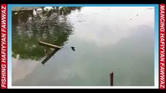 Hafiyyan Fawwaz Fishing Collection 03 [ Hobby Mancing Mania ] Mancing Ikan Mujair Di Danau