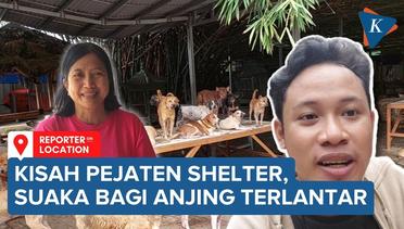 Mengintip Suasana Pejaten Shelter, Suaka Bagi Ribuan Anjing Terlantar di Jakarta