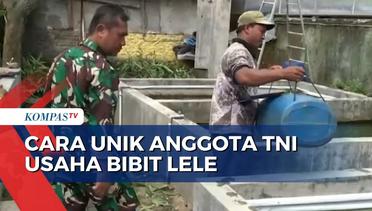 Anggota TNI Jual Bibit Lele Murah untuk Dukung Ketahanan Pangan