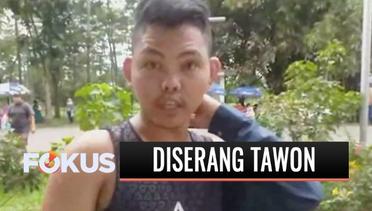 Ngeri! Ratusan Tawon Vespa Serang Sejumlah Pengunjung di Jakabaring Sport City, Palembang