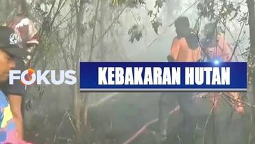 Kebakaran Hutan dan Lahan Merambat ke Permukiman Warga di Sampit, Kalteng - Fokus