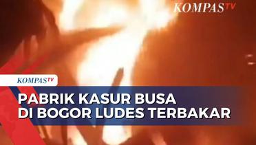 Kebakaran Pabrik Kasur Busa di Bogor, Diduga Akibat Korsleting Listrik