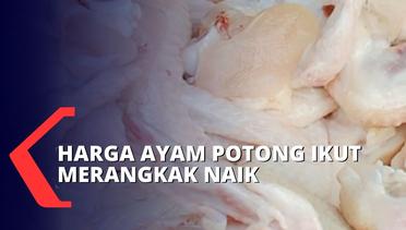 Harga Daging Ayam Potong Ikut Naik Jelang Ramadan, Tembus Rp32 Ribu Per Kilogram!