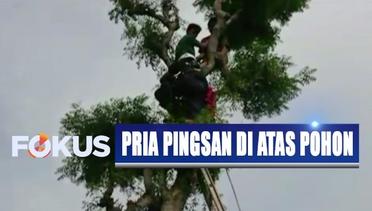 Pria Pingsan di Atas Pohon Saat Mencari Pakan Ternak, Evakuasi Berlangsung Dramatis - Fokus Pagi