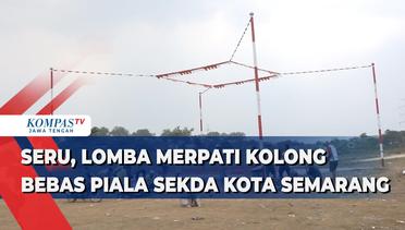 Seru, Lomba Merpati Kolong Bebas Piala Sekda Kota Semarang