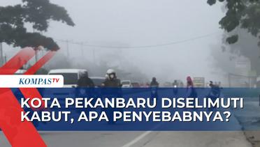 Penjelasan BMKG Soal Fenomena Kabut yang Menyelimuti Kota Pekanbaru