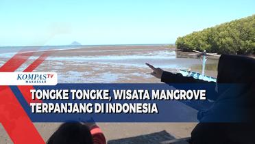Tongke Tongke, Wisata Mangrove Terpanjang di Indonesia