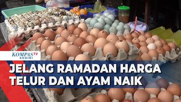 Harga Telur dan Daging Ayam Merangkak Naik Jelang Ramadan